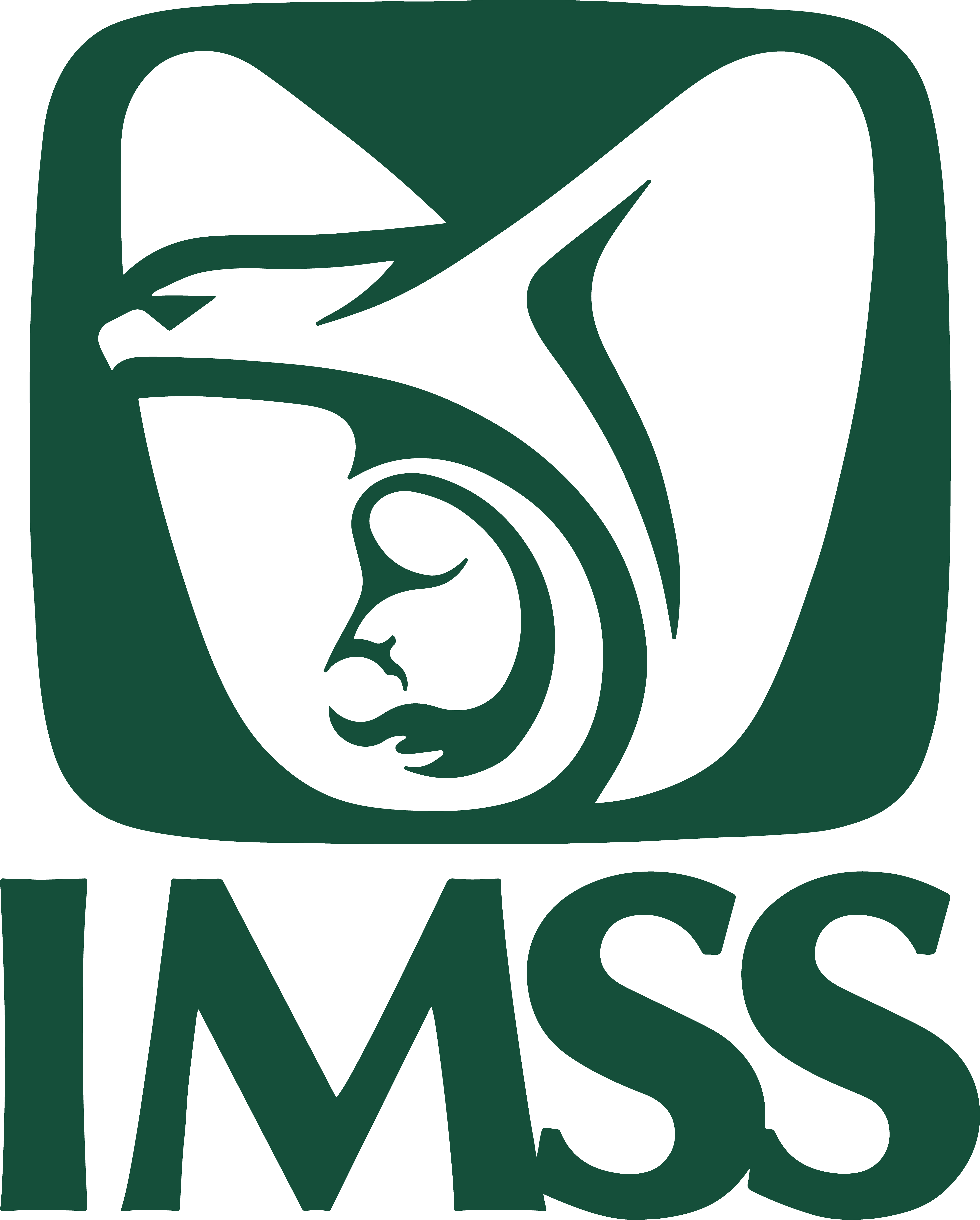 IMSS Logo
